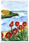 Poppies #2