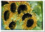 Sunflowers #1