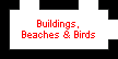 Buildings, Beaches and Birds